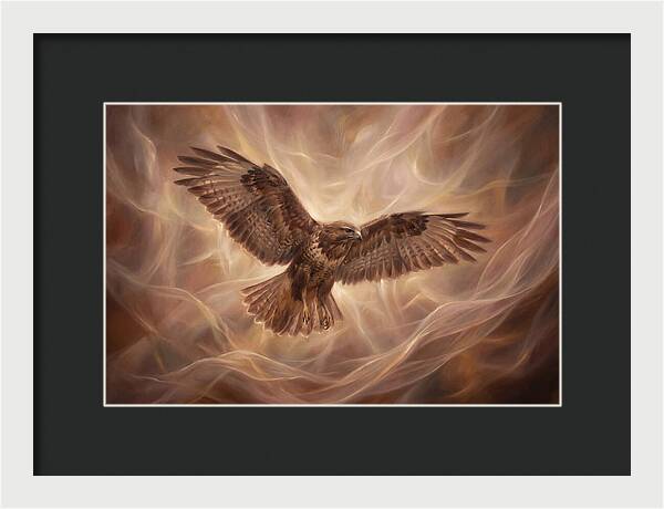 Buzzard In Flight