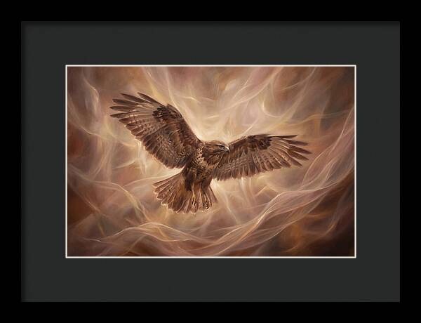 Buzzard In Flight