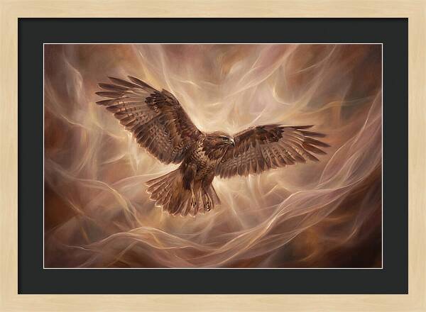 Buzzard In Flight