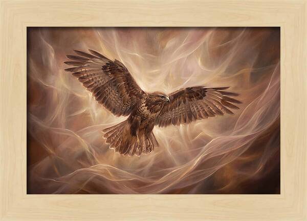 Buzzard In Flight