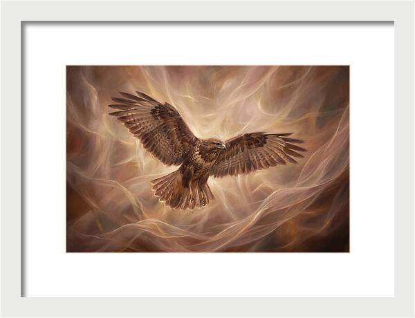 Buzzard In Flight