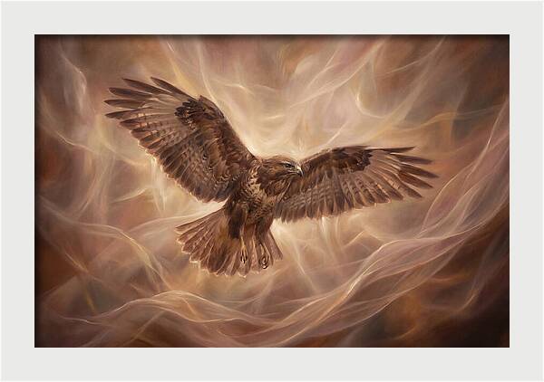 Buzzard In Flight