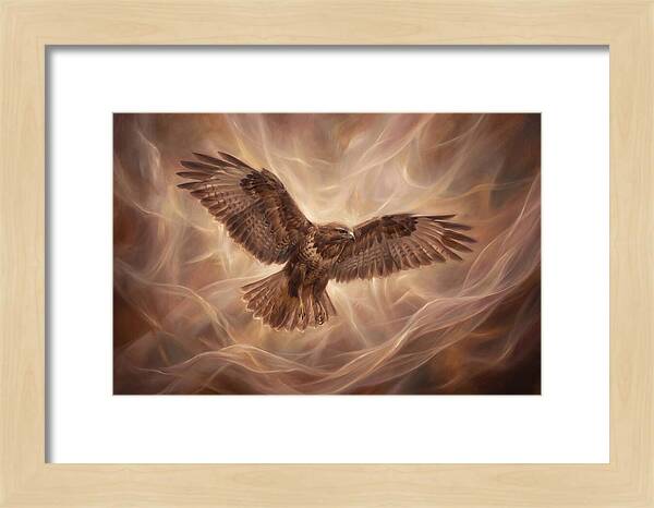 Buzzard In Flight