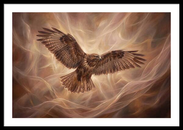Buzzard In Flight