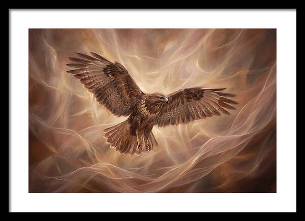 Buzzard In Flight