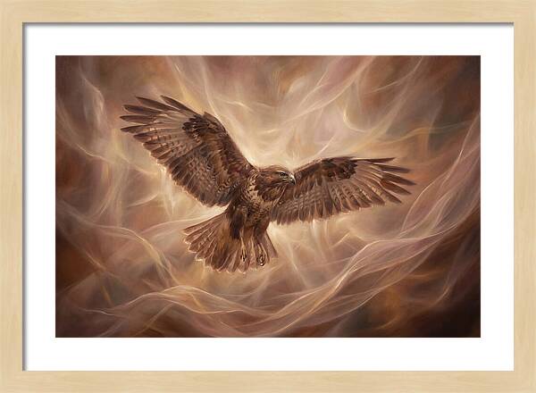 Buzzard In Flight