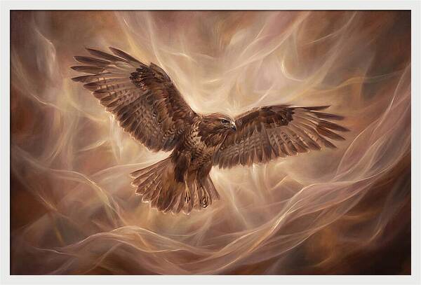 Buzzard In Flight