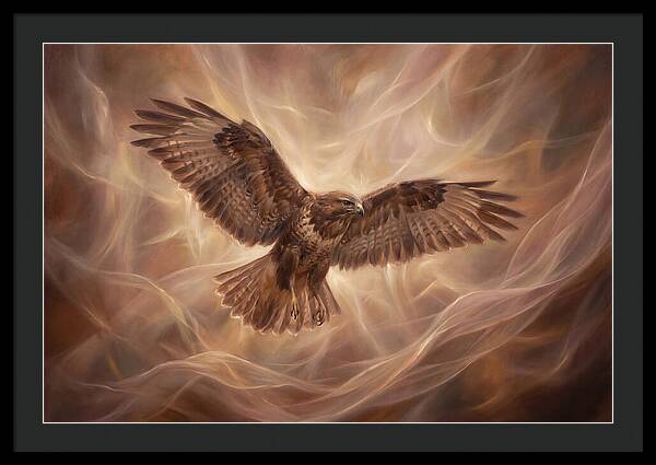 Buzzard In Flight