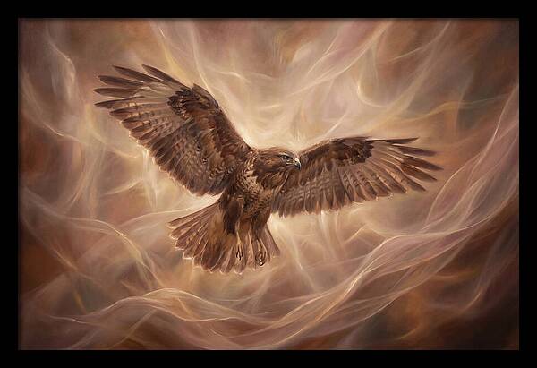 Buzzard In Flight