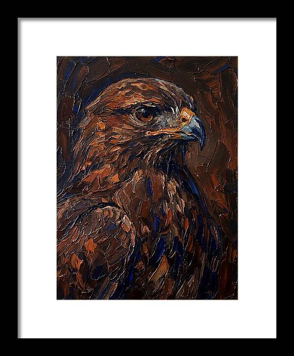 Buzzard In Rich Hues