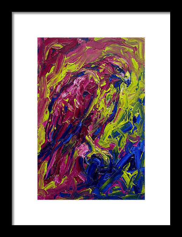 Buzzard In Vibrant Colors
