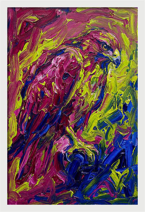 Buzzard In Vibrant Colors