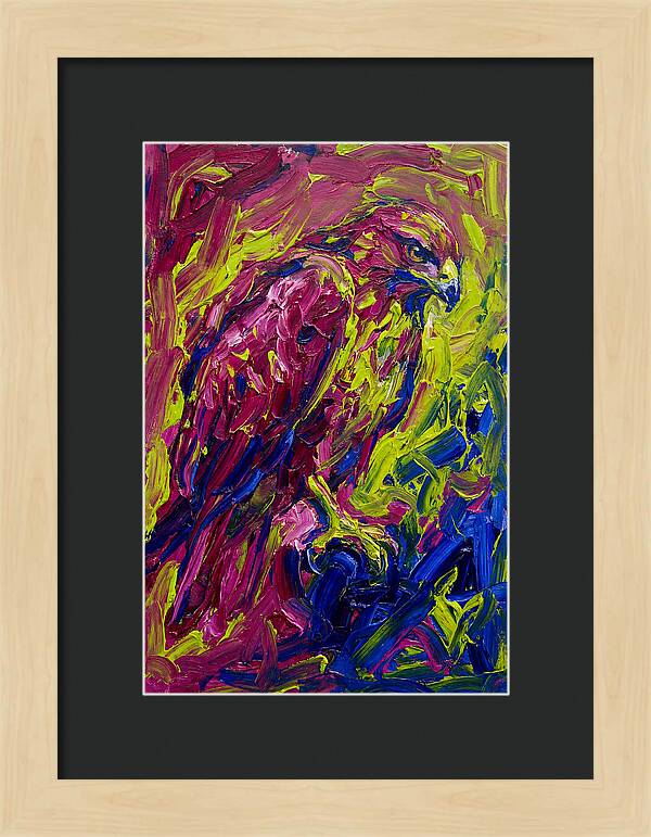 Buzzard In Vibrant Colors