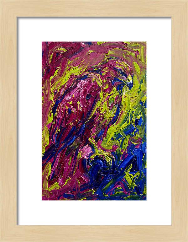 Buzzard In Vibrant Colors
