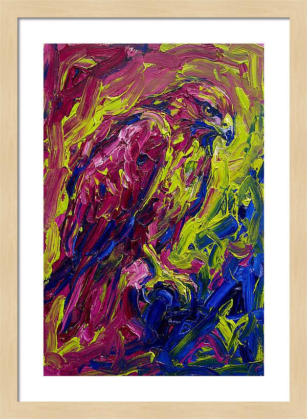Buzzard In Vibrant Colors