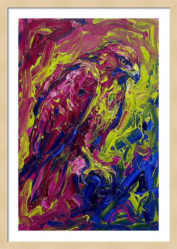 Buzzard In Vibrant Colors