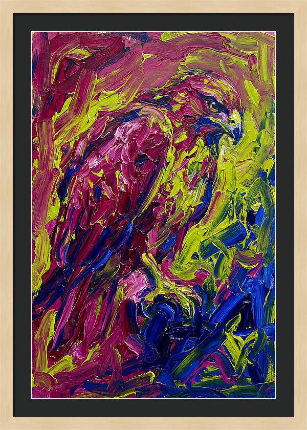 Buzzard In Vibrant Colors