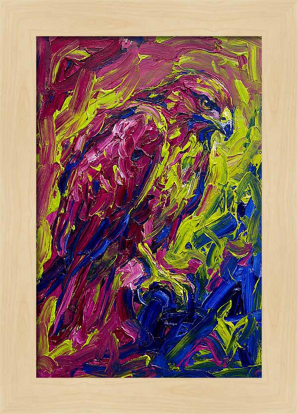 Buzzard In Vibrant Colors