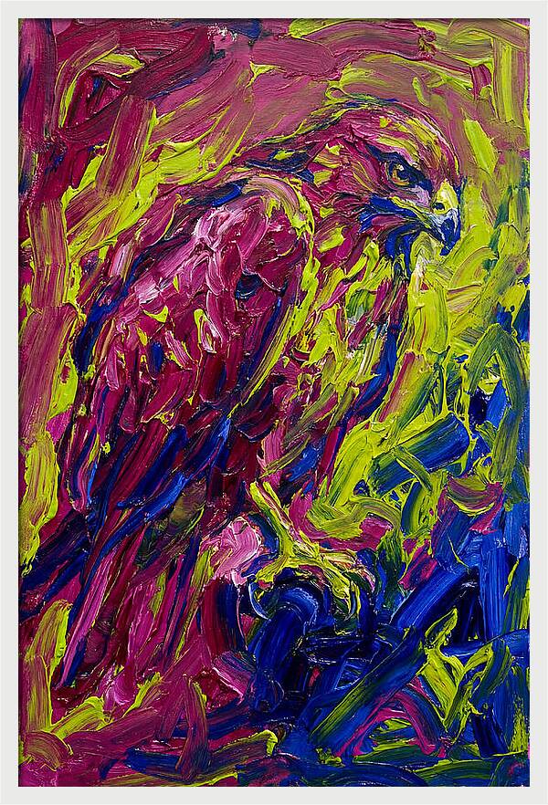 Buzzard In Vibrant Colors