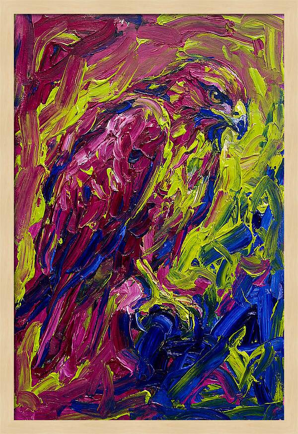 Buzzard In Vibrant Colors