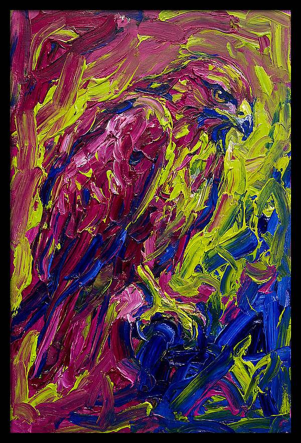 Buzzard In Vibrant Colors