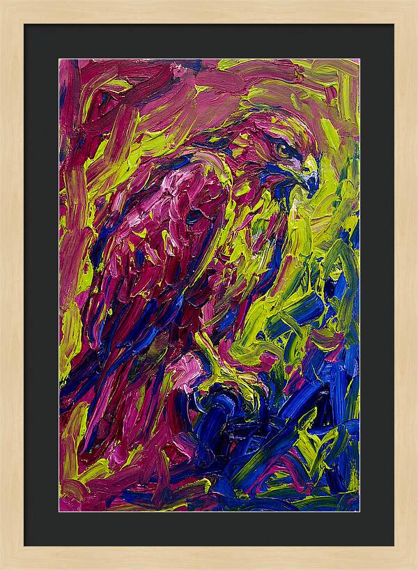 Buzzard In Vibrant Colors