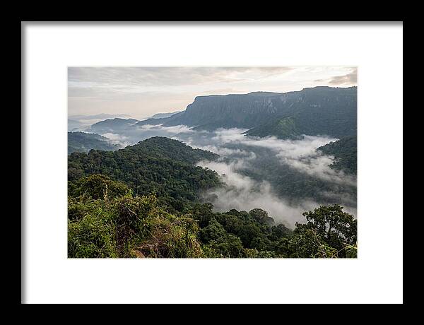 Bwindi Impenetrable Forest Viewpoint