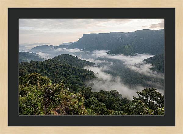 Bwindi Impenetrable Forest Viewpoint