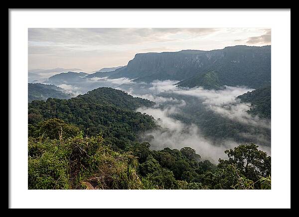 Bwindi Impenetrable Forest Viewpoint
