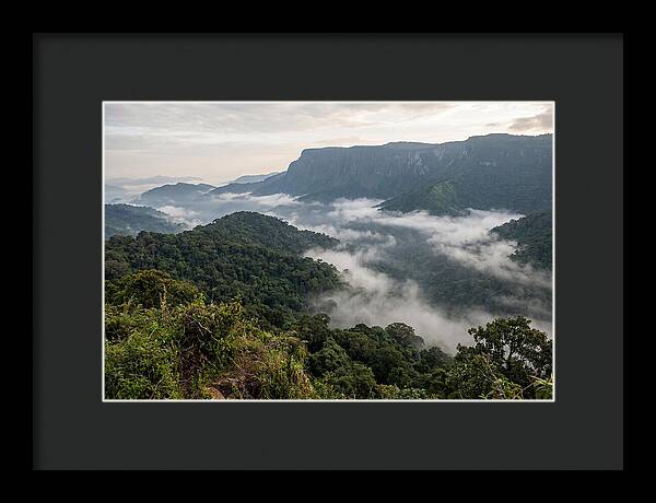 Bwindi Impenetrable Forest Viewpoint