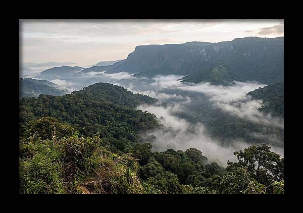 Bwindi Impenetrable Forest Viewpoint