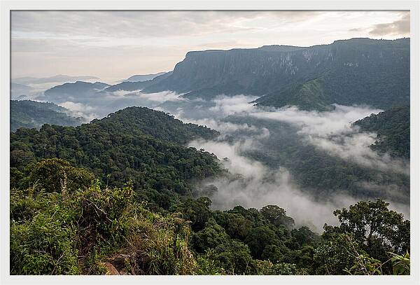 Bwindi Impenetrable Forest Viewpoint