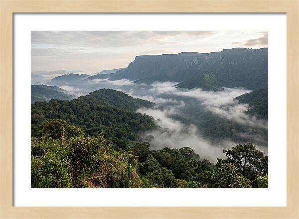 Bwindi Impenetrable Forest Viewpoint