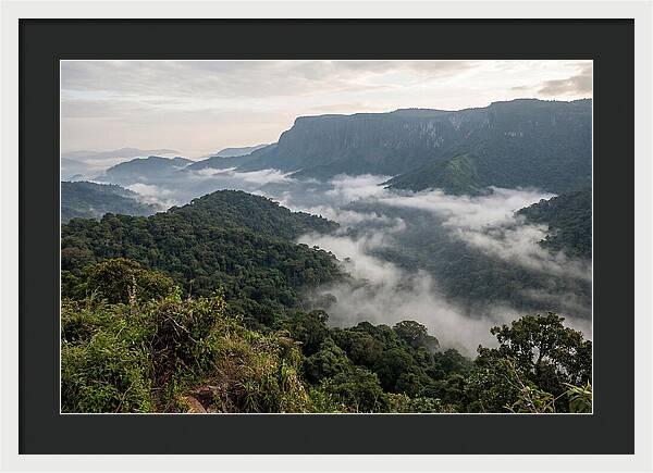 Bwindi Impenetrable Forest Viewpoint