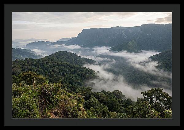 Bwindi Impenetrable Forest Viewpoint