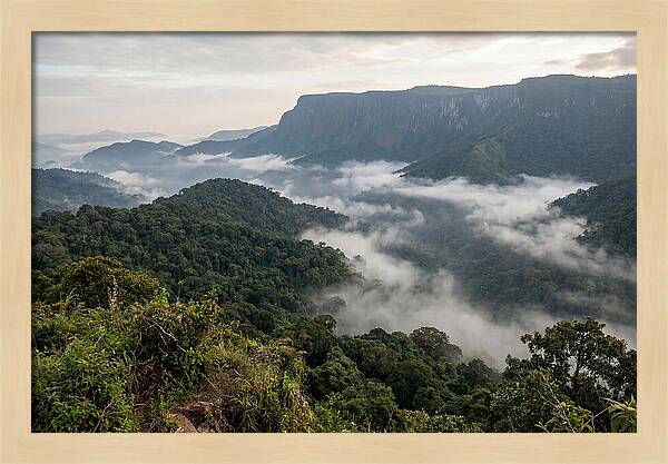 Bwindi Impenetrable Forest Viewpoint
