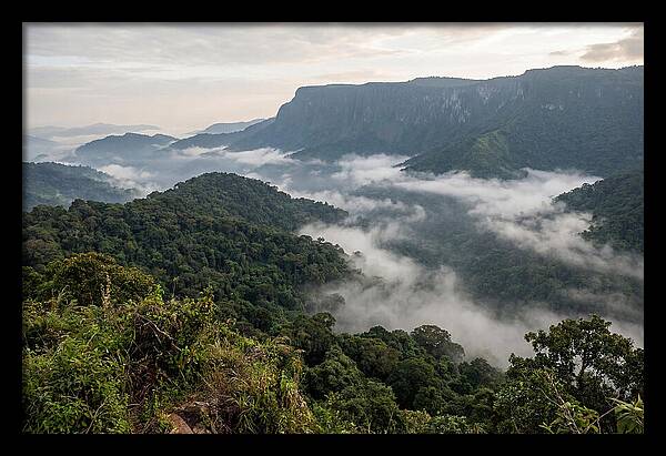 Bwindi Impenetrable Forest Viewpoint