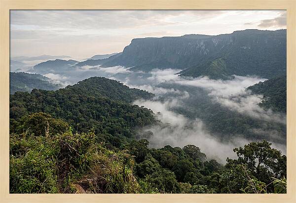 Bwindi Impenetrable Forest Viewpoint