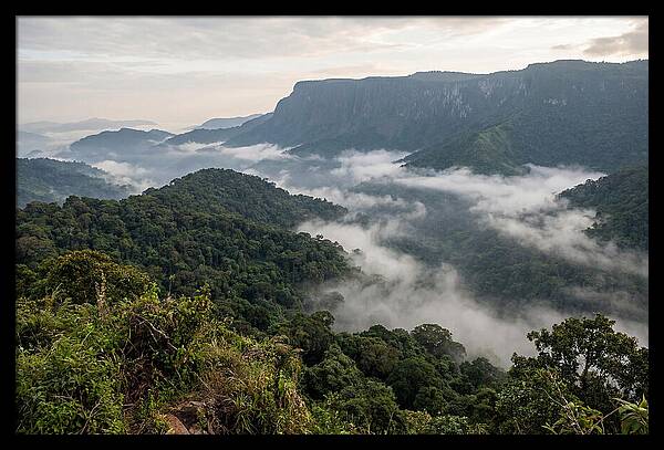 Bwindi Impenetrable Forest Viewpoint