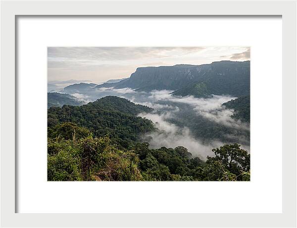 Bwindi Impenetrable Forest Viewpoint