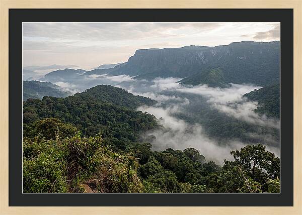 Bwindi Impenetrable Forest Viewpoint