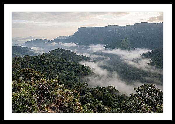 Bwindi Impenetrable Forest Viewpoint