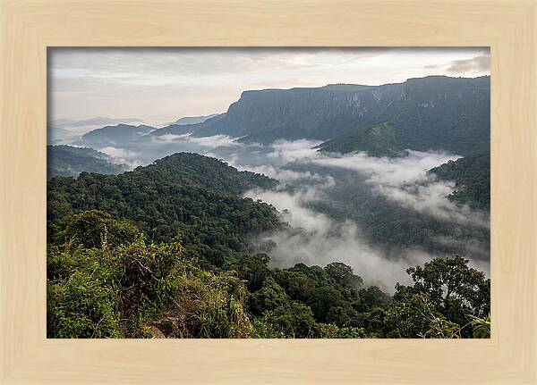 Bwindi Impenetrable Forest Viewpoint