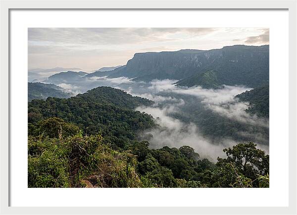 Bwindi Impenetrable Forest Viewpoint