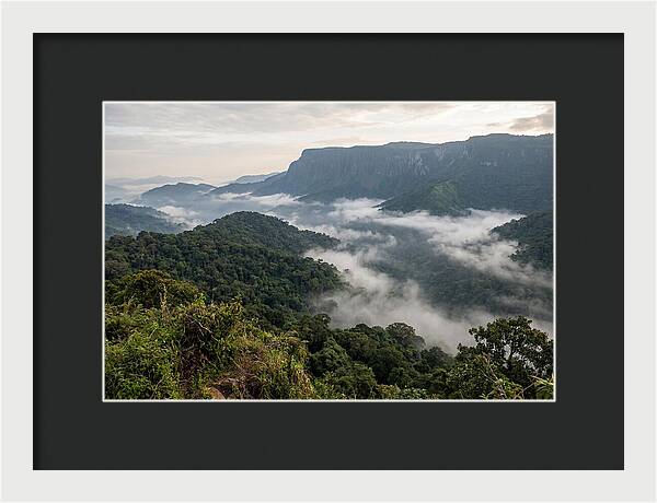 Bwindi Impenetrable Forest Viewpoint