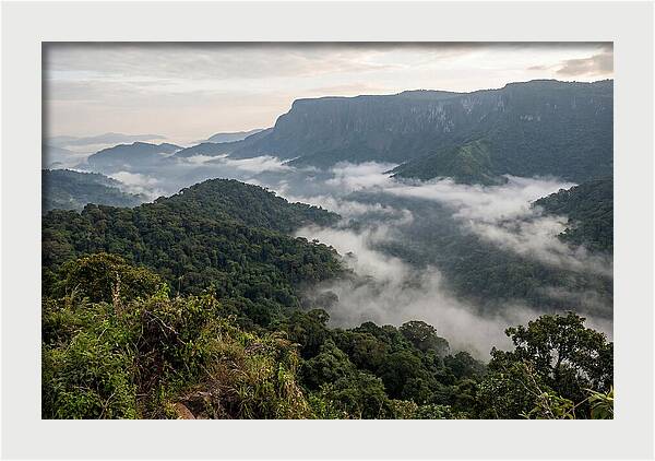 Bwindi Impenetrable Forest Viewpoint