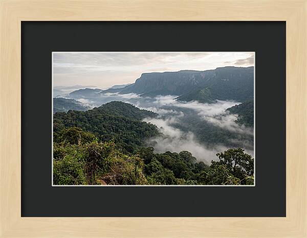 Bwindi Impenetrable Forest Viewpoint