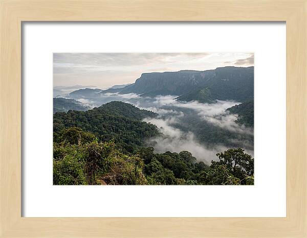 Bwindi Impenetrable Forest Viewpoint