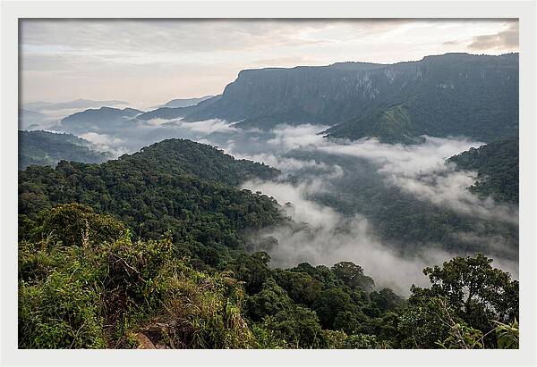 Bwindi Impenetrable Forest Viewpoint