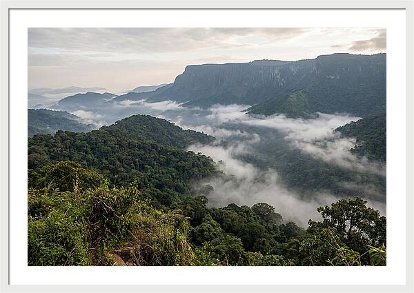 Bwindi Impenetrable Forest Viewpoint